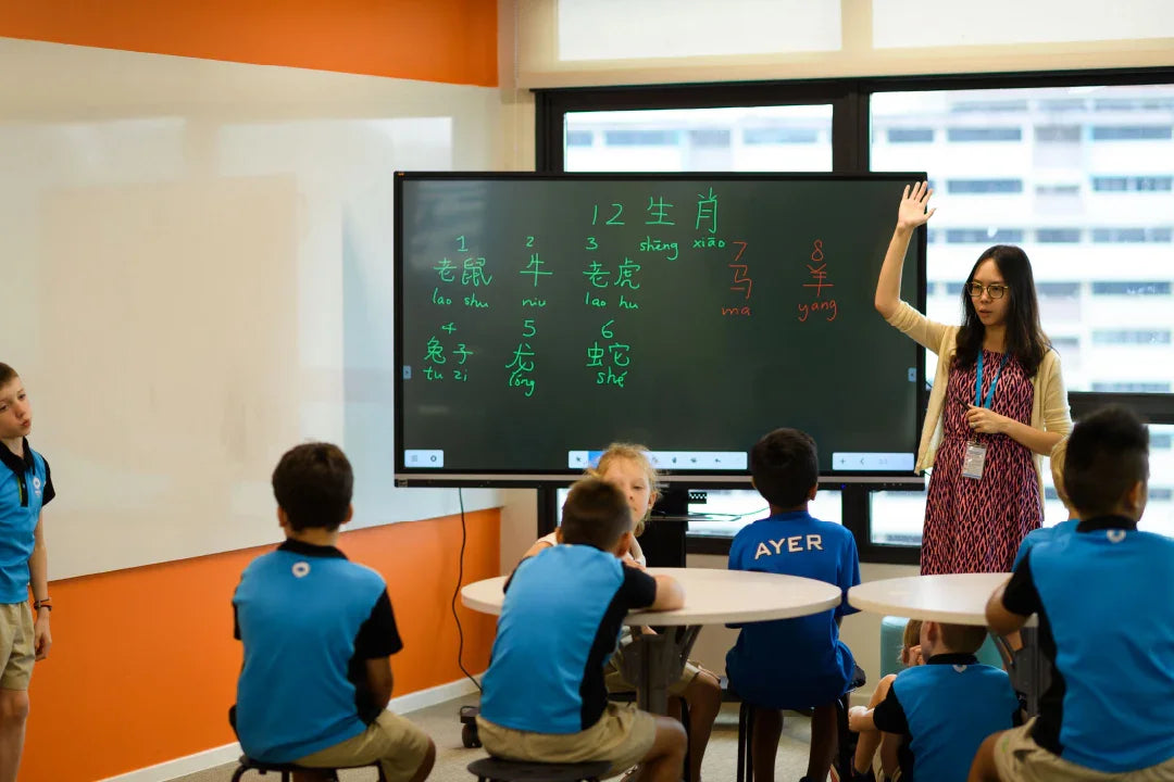 Singapore’s Nexus International School Remotely Solves 90% of Interactive Display Technical Issues via ViewSonic’s Solution - ViewSonic Store