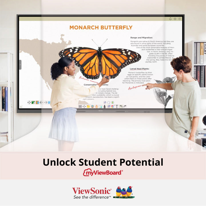 ViewSonic 110" IFP110 ViewBoard 4K Interactive Display